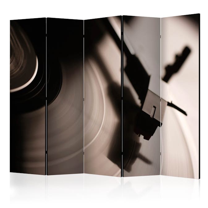 Rumsavdelare Arkiio Gramophone And Vinyl Record II 225x172 cm