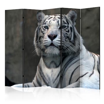 Rumsavdelare Arkiio Bengali Tiger In Zoo II 225x172 cm