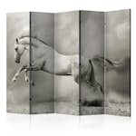 Rumsavdelare Arkiio Wild Stallion II 225x172 cm