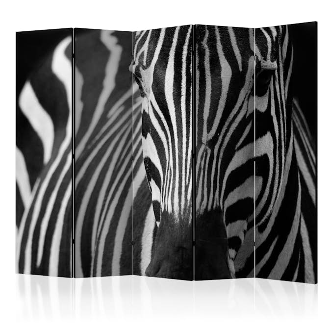 Rumsavdelare Arkiio White With Black Stripes II 225x172 cm
