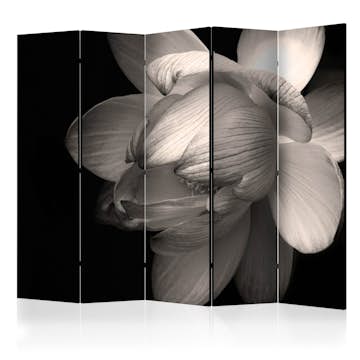 Rumsavdelare Arkiio Lotus Flower II 225x172 cm