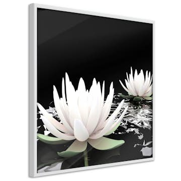Poster Artgeist Affisch Lotus Flowers