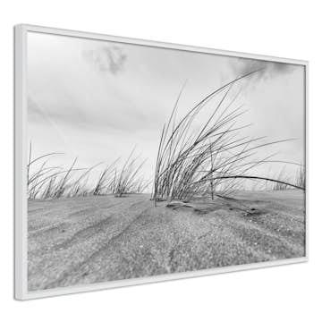 Poster Artgeist Affisch Seaside Reed