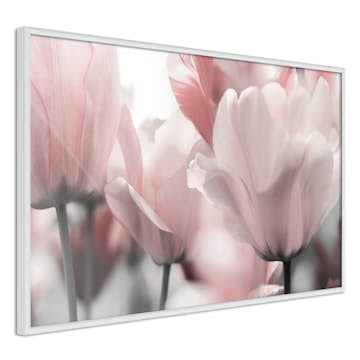Poster Artgeist Affisch Fabulous Tulips