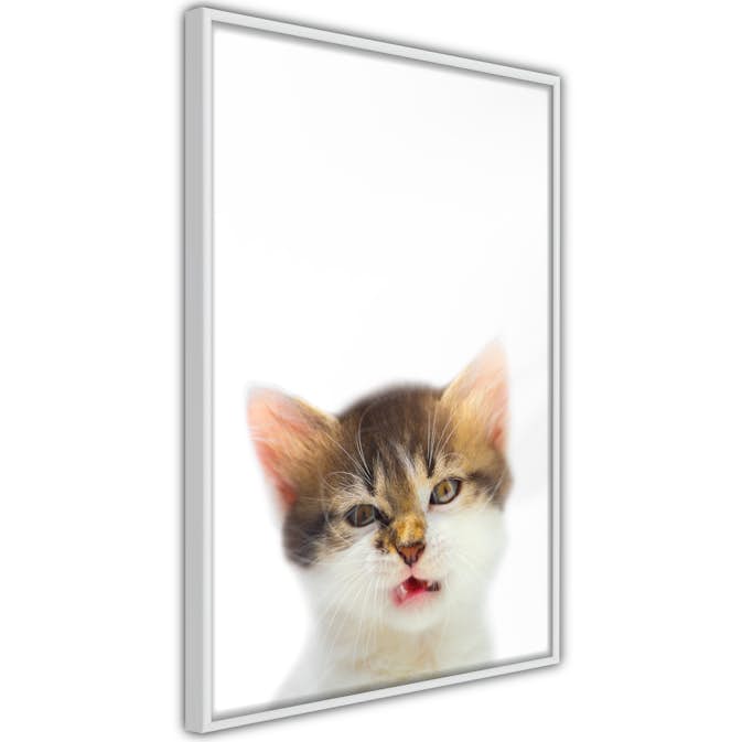 Poster Artgeist Affisch Vexed Cat