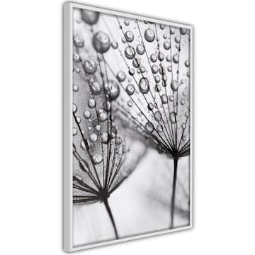 Poster Artgeist Affisch Morning Dew