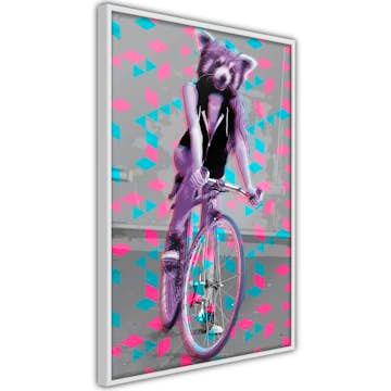 Poster Artgeist Affisch Raccoon On The Bike