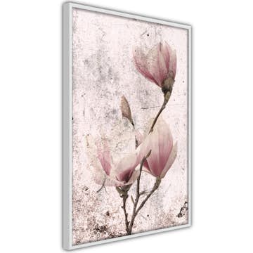Poster Artgeist Affisch Mature Magnolia
