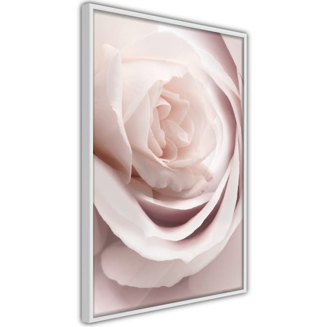 Poster Artgeist Affisch Porcelain Rose