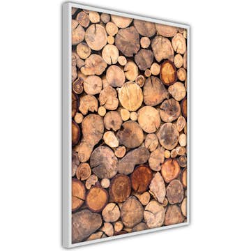 Poster Artgeist Affisch Inside the Tree