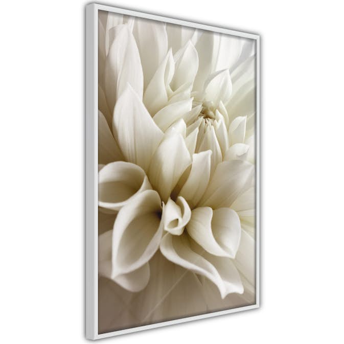 Poster Artgeist Affisch Beautiful Dahlia