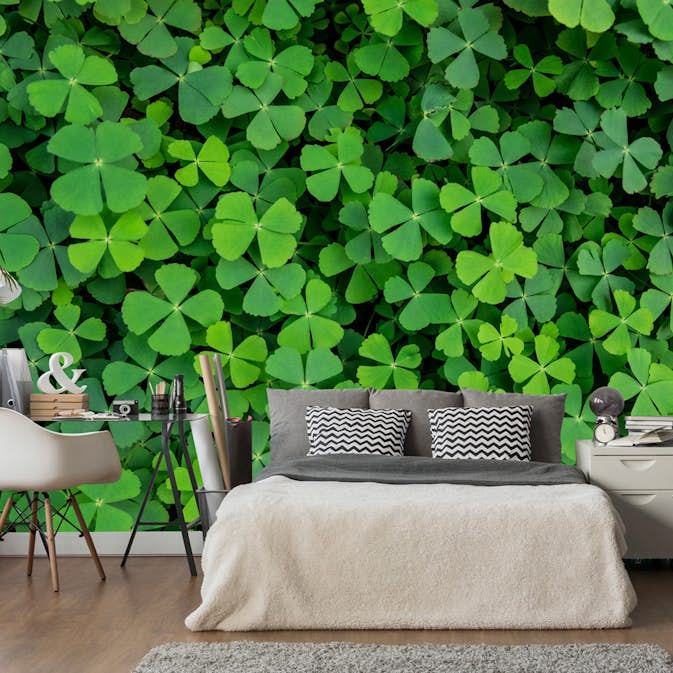 Fototapet Arkiio Green Clover