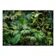 Fototapet Arkiio Sunny Jungle