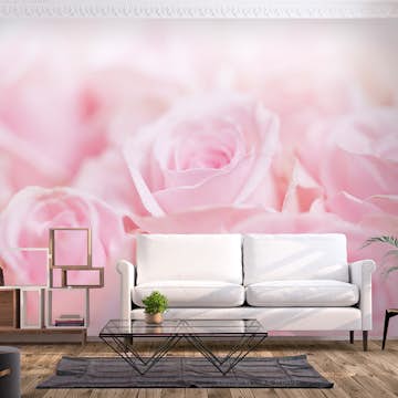 Fototapet Arkiio Ocean of Roses