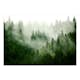 Fototapet Arkiio Mountain Forest (Green)