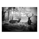 Fototapet Arkiio Deers in the Morning