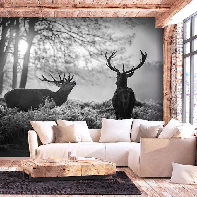 Fototapet Arkiio Deers in the Morning