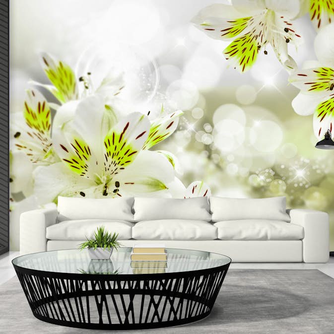 Fototapet Arkiio Southern Princess