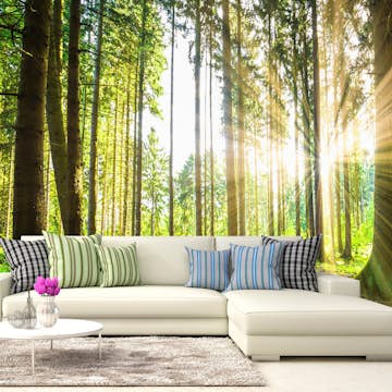 Fototapet Arkiio Självhäftande Forest Tales