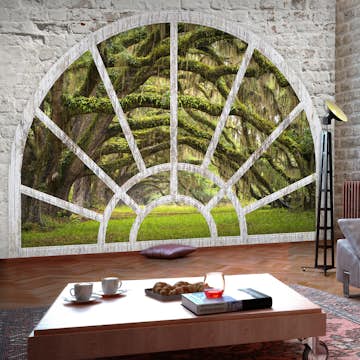 Fototapet Arkiio Självhäftande Window To Secret Forest