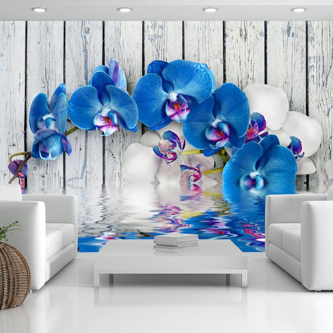 Fototapet Arkiio Cobaltic Orchid