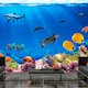 Fototapet Arkiio Underwater Kingdom