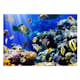 Fototapet Arkiio Underwater Adventure