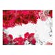 Fototapet Arkiio Colors Of Spring: Red
