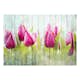 Fototapet Arkiio Tulips On White Wood