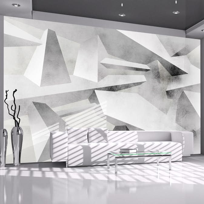 Fototapet Arkiio Frozen Wings