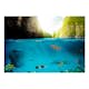 Fototapet Arkiio Under The Waterline