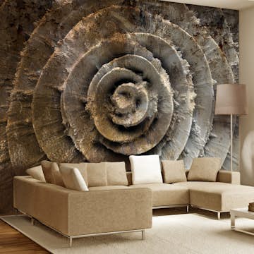 Fototapet Arkiio Desert Rose