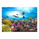 Fototapet Arkiio Coral Reef