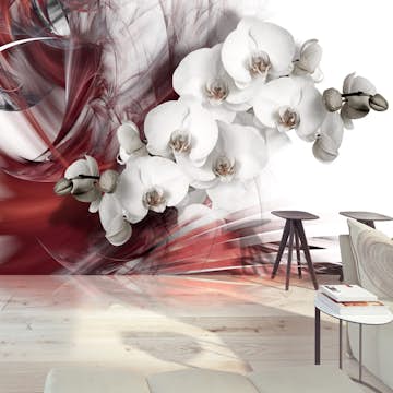 Fototapet Arkiio Orchid In Red
