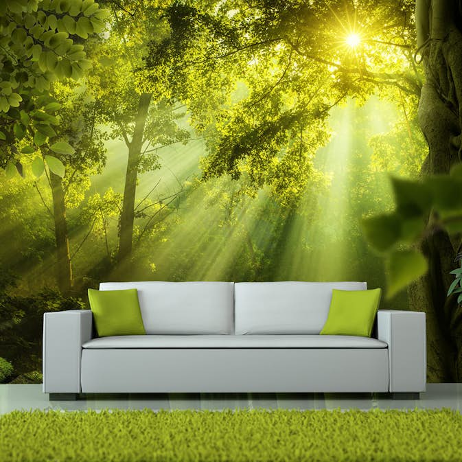 Fototapet Arkiio Självhäftande In A Secret Forest