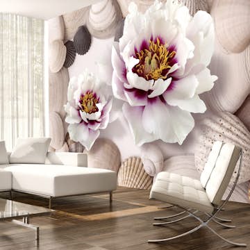 Fototapet Arkiio Flowers And Shells
