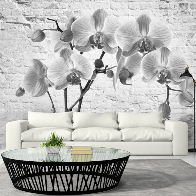 Fototapet Arkiio Orchid In Shades Of Gray