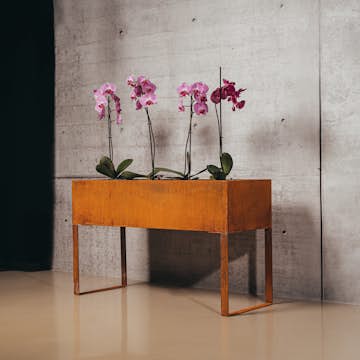 Kruka GrillSymbol Aura Smart