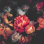 Fototapet Living Walls Designwalls DD118510