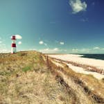 Fototapet Living Walls Designwalls DD118654