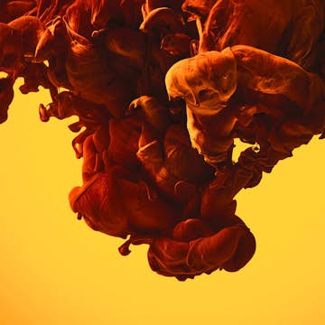 Fototapet Living Walls Designwalls DD118778