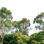 Fototapet Living Walls Designwalls DD118797