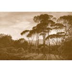 Tapet Living Walls History of Art DD118819
