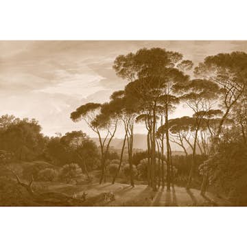 Tapet Living Walls History of Art DD118819