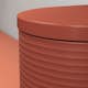 Vägghängd Toalettstol Duravit Millio Grooves