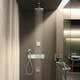 Duscharm Hansgrohe Raindance 100 mm för Takmontage