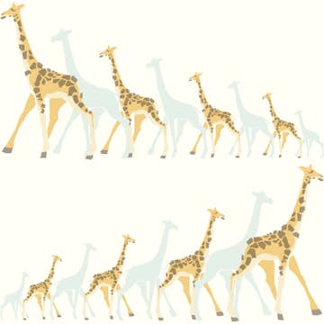 Tapet York Wallcoverings Dwell Studio Baby & Kids DW2360