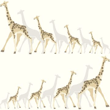 Tapet York Wallcoverings Dwell Studio Baby & Kids DW2362