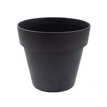 Blomkruka Recal Bariton