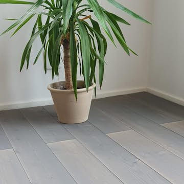 Massivt Trägolv Eden Wood Pearl Grey